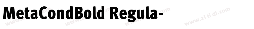 MetaCondBold Regula字体转换